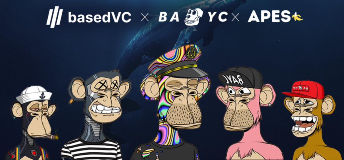 Screenshot-2024-05-20-180502