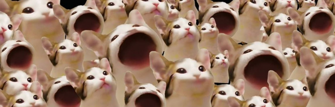 Screenshot 2024-09-11 185232