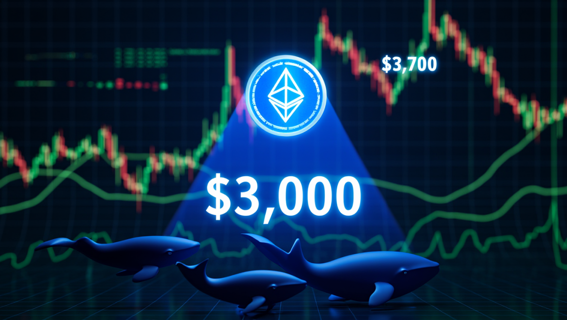 4fcc5c78-856e-4856-9892-2d89b622f045