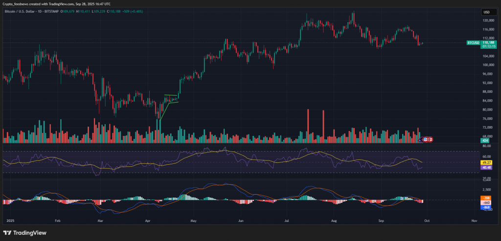 Bitcoin price crash

