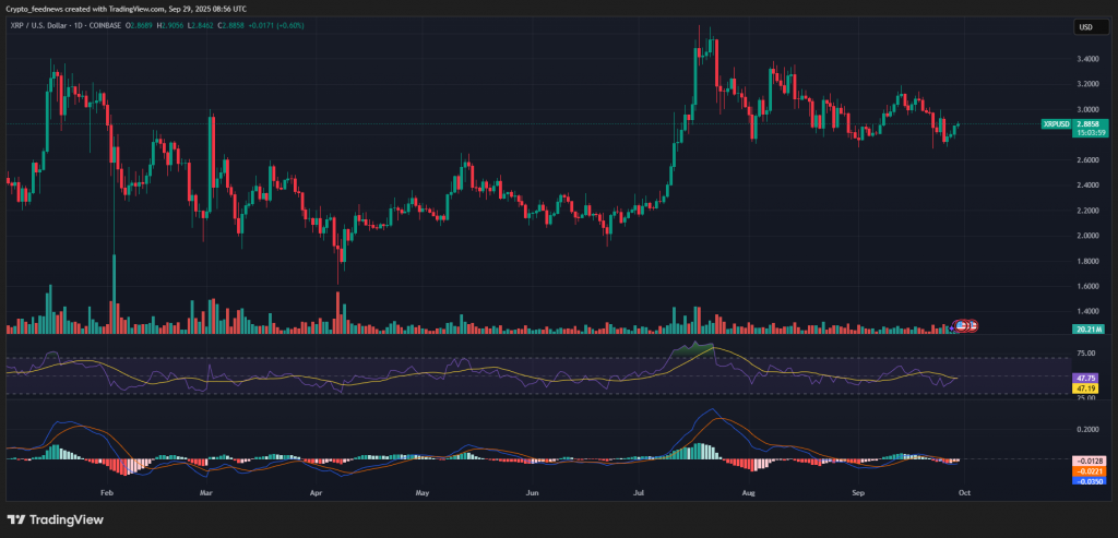 XRP Price