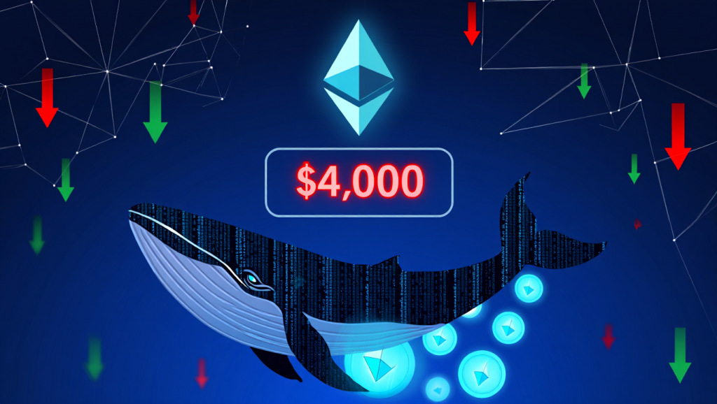 Ether whale accumulation