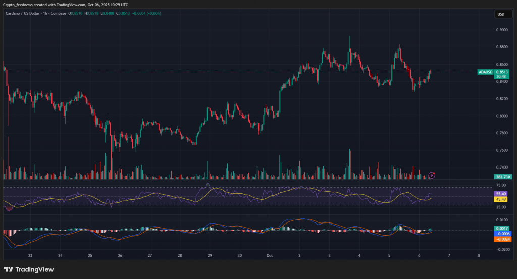 Cardano price