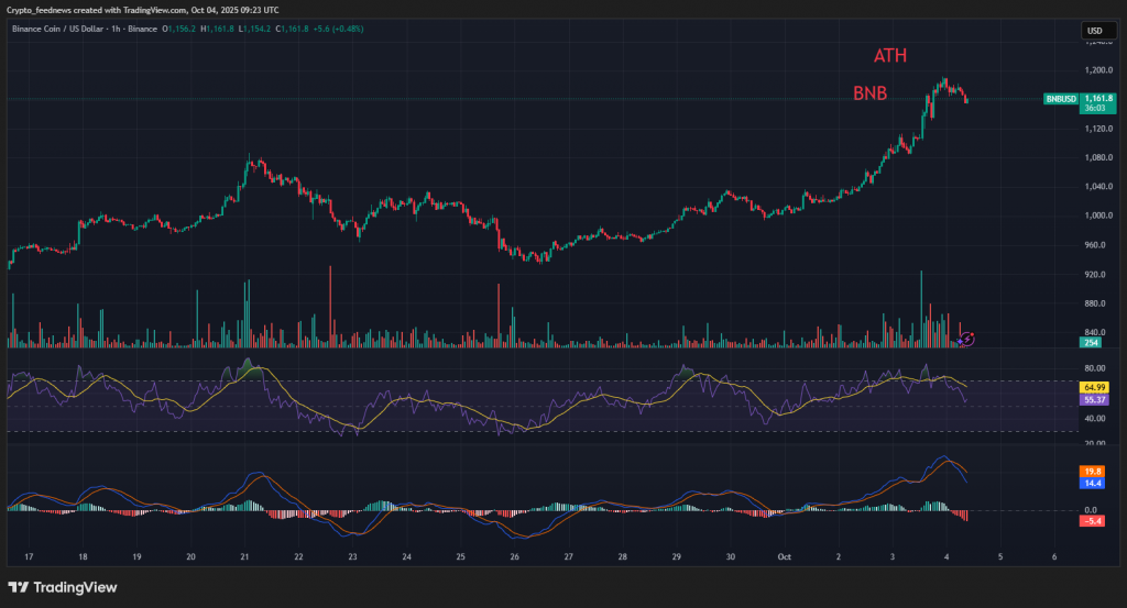 BNB price rally

