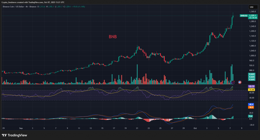 BNB price surge
