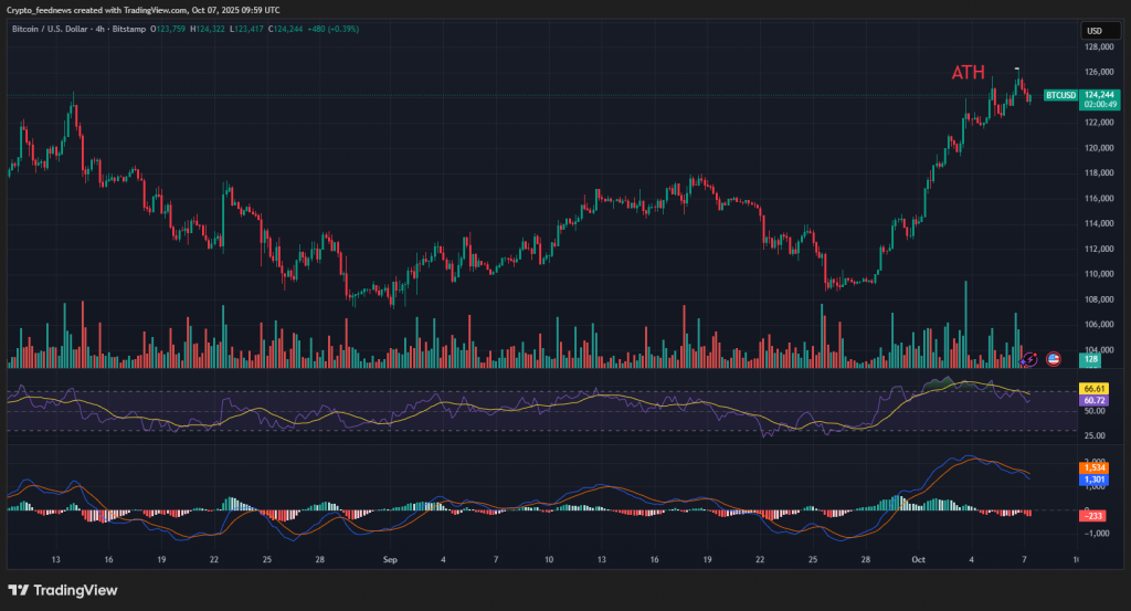 Bitcoin ETF inflows