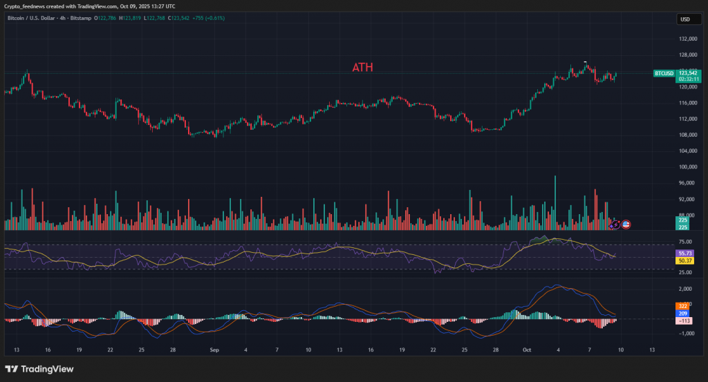 Bitcoin price rebounds