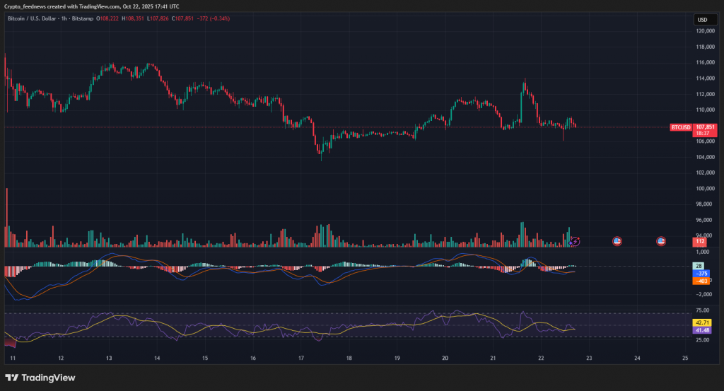 Bitcoin gold divergence