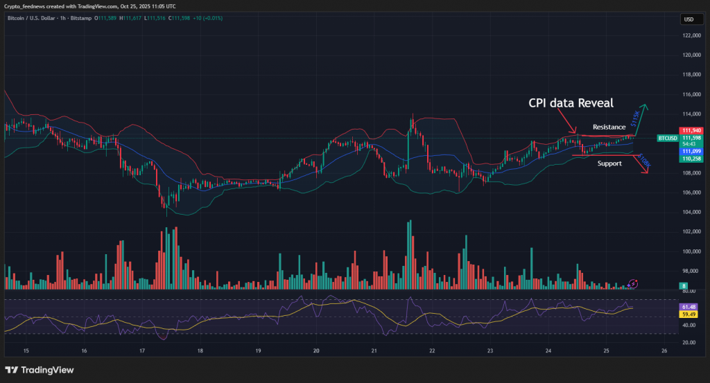 Bitcoin consolidates