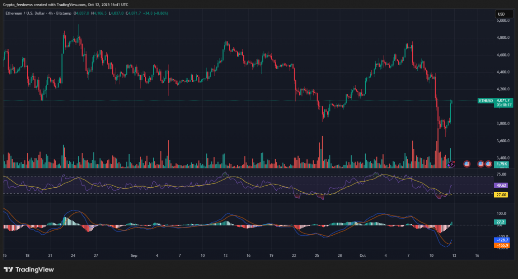 crypto market rebounds