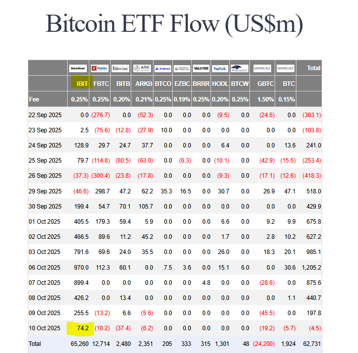 Bitcoin ETF outflows