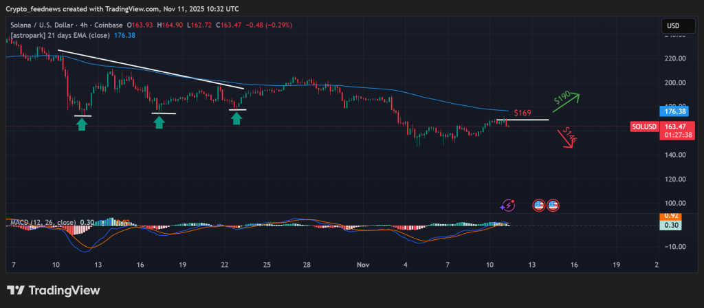 Solana price rebound