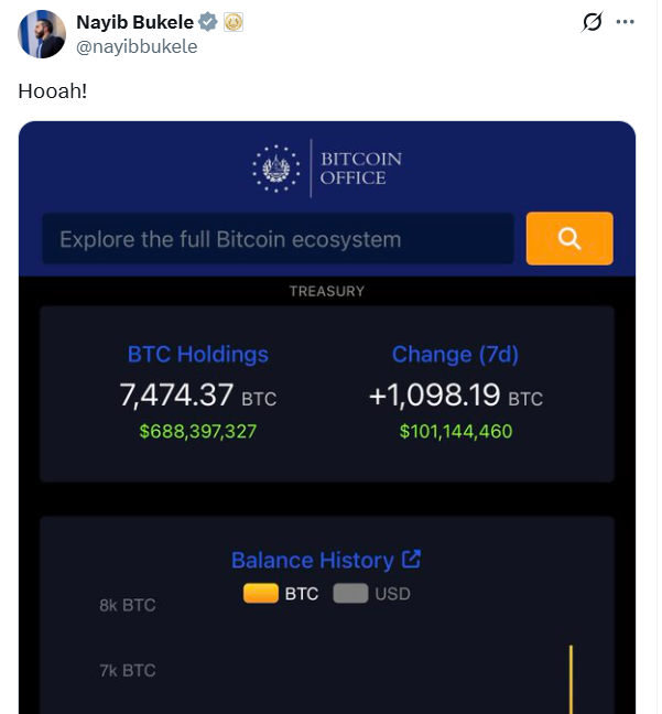 El Salvador Bitcoin purchase