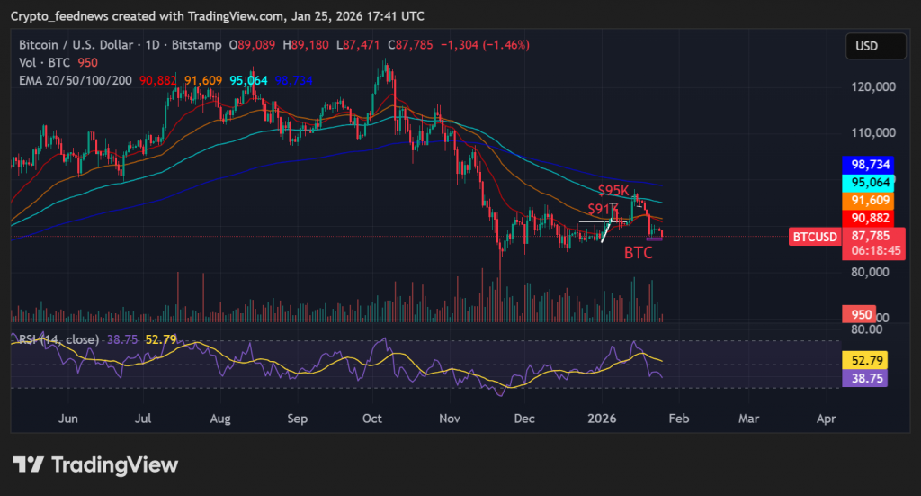 crypto market correction