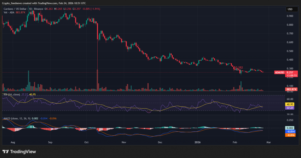 Grayscale Cardano allocation