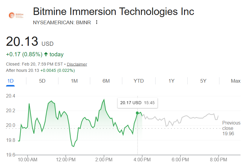 BitMine Ethereum purchase