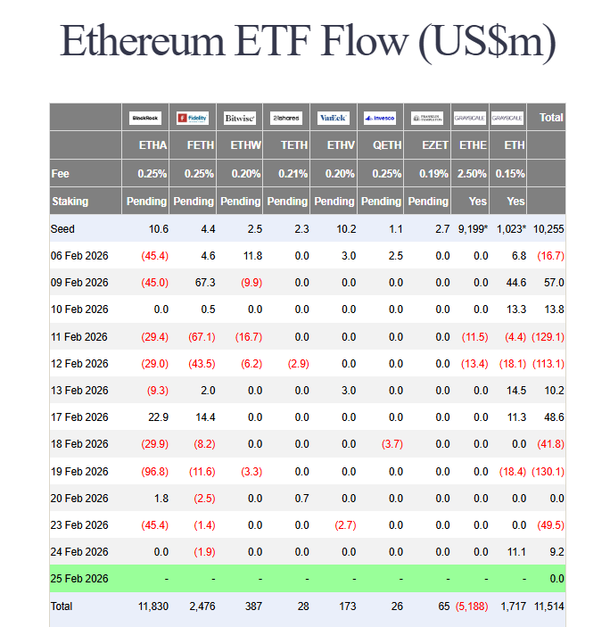 Ethereum price rally