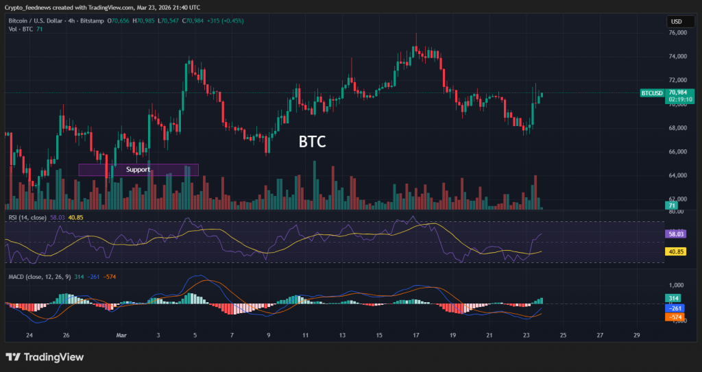 Bitcoin outperforms Gold

