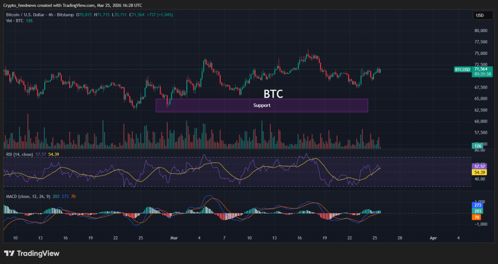 crypto market recovery