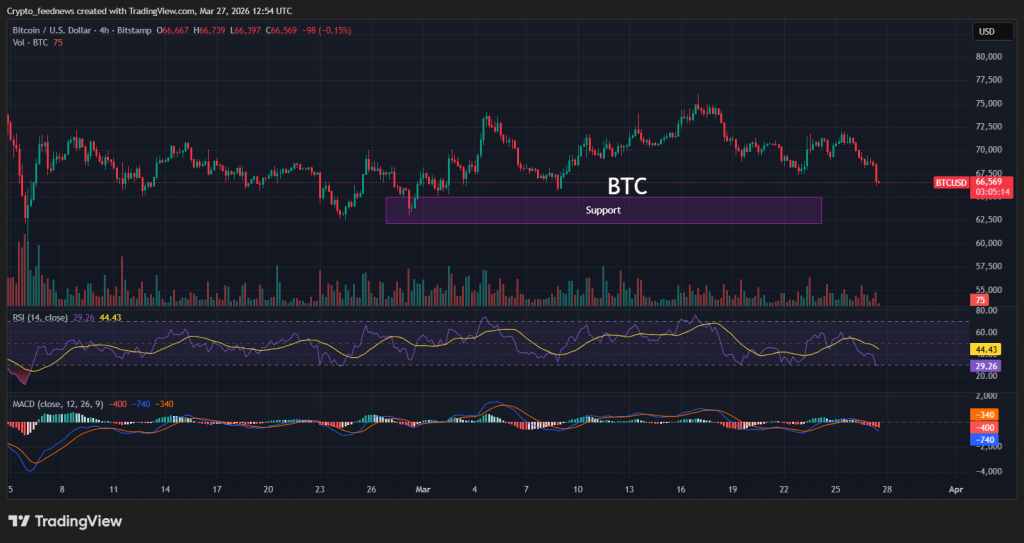 Bitcoin ETF outflows