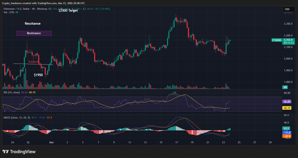 Bitmine Ethereum holdings