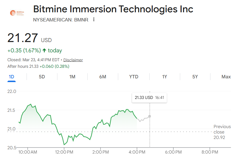 Bitmine Ethereum holdings
