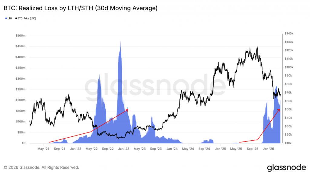 Bitcoin whales realized losses