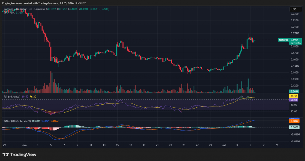 Cardano holder growth
