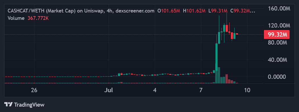 CASHCAT memecoin surge