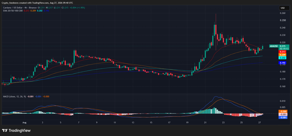 Cardano price rally