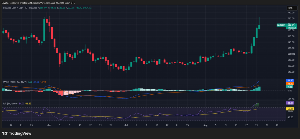 BNB meme token rally