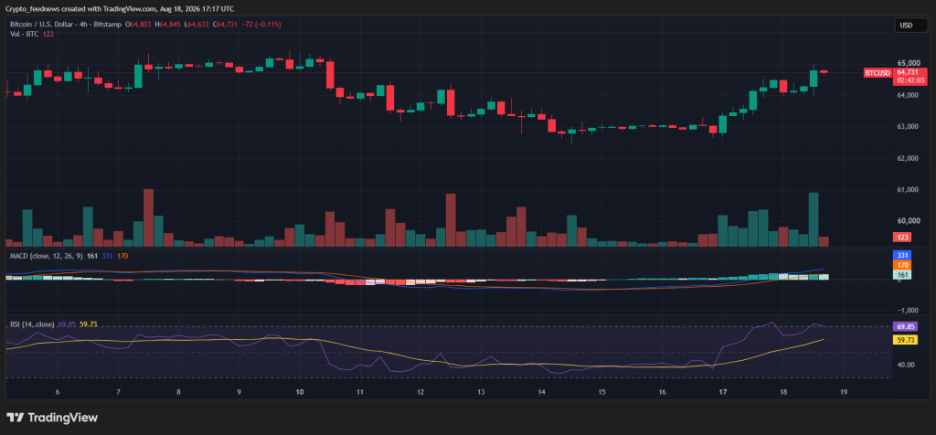 Bitcoin rallies to $65K
