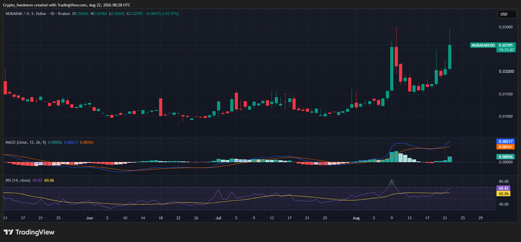 BNB meme token rally