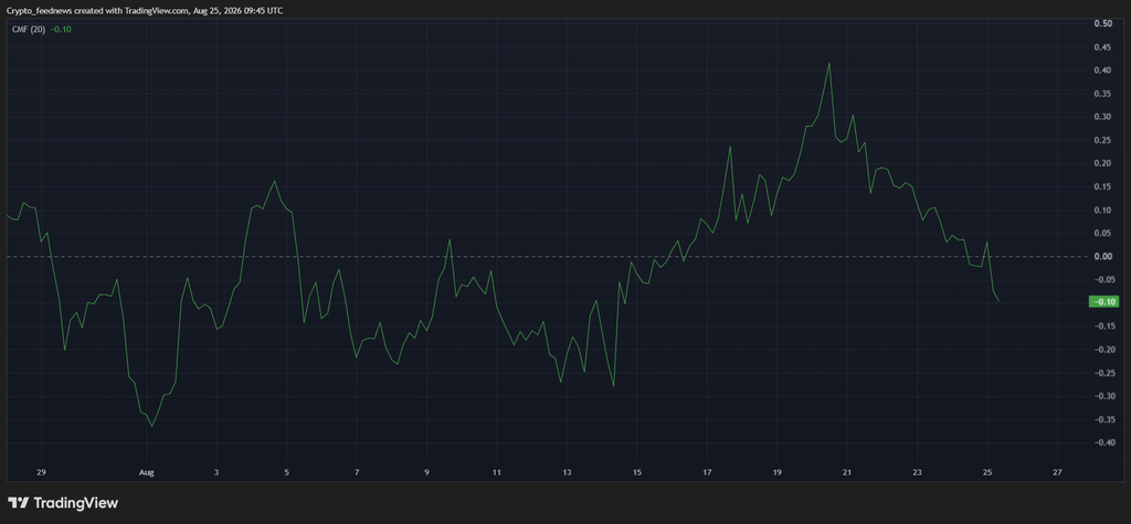 Pepe Coin price rally