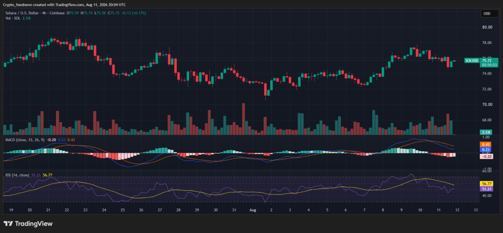 Solana price rebound