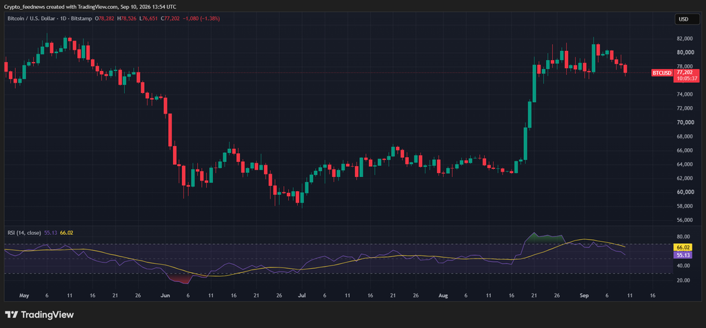 Bitcoin price rally