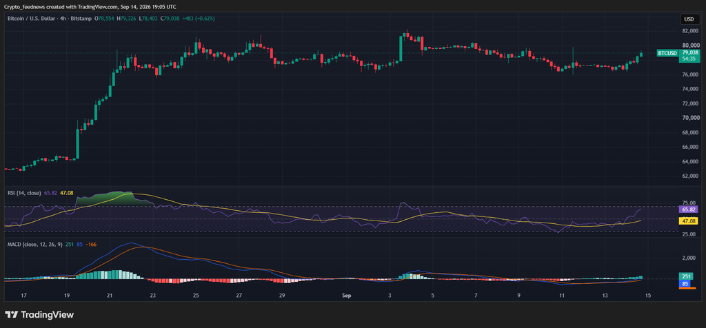 Bitcoin price rebound