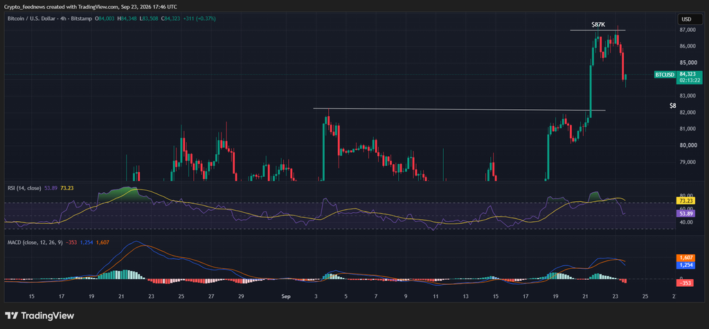 Bitcoin price steadies near $84000