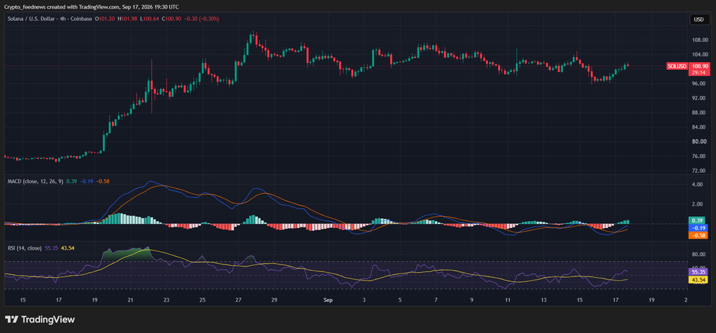 Solana price holds $100
