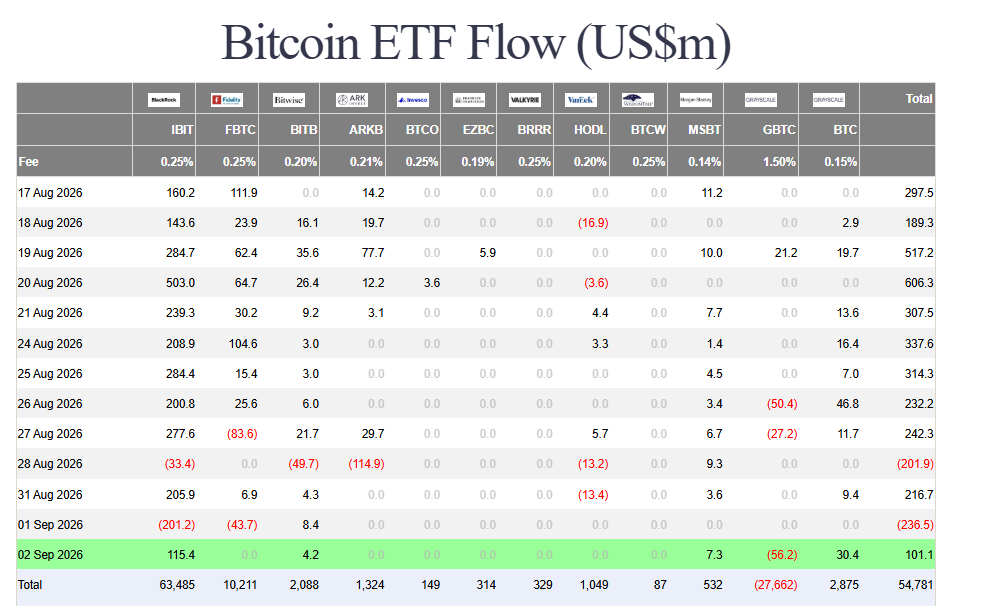 Ether ETF outflows