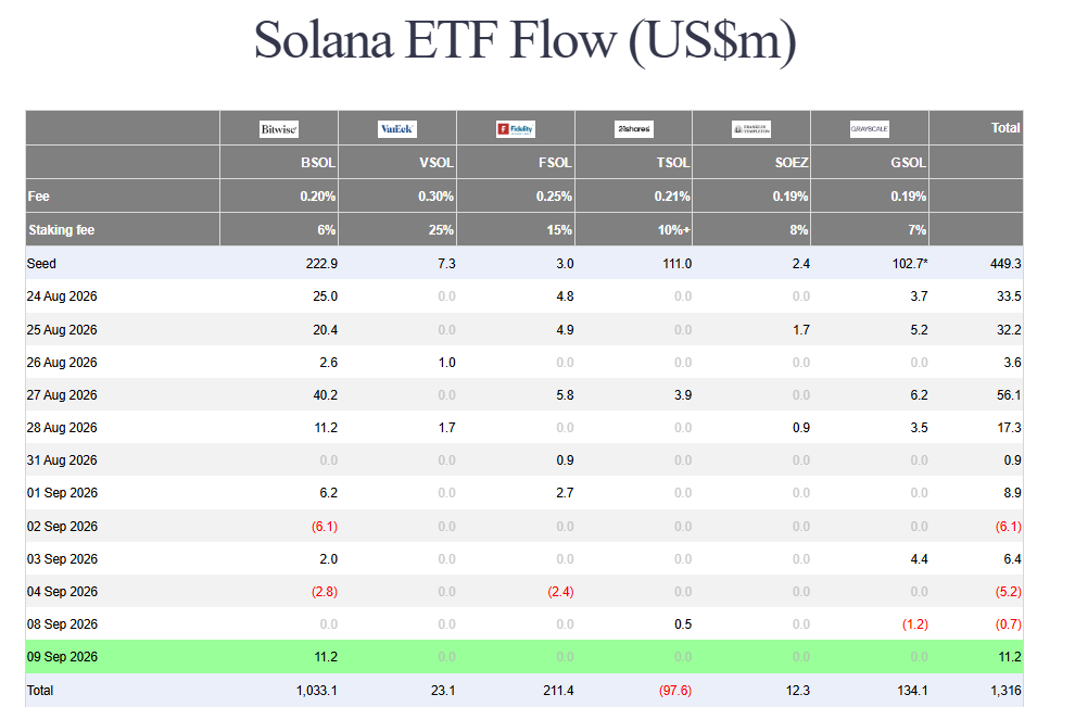 Bitcoin ETF outflows