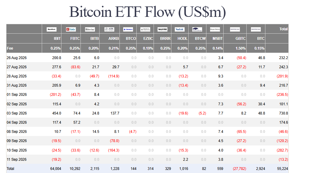Bitcoin ETF outflows