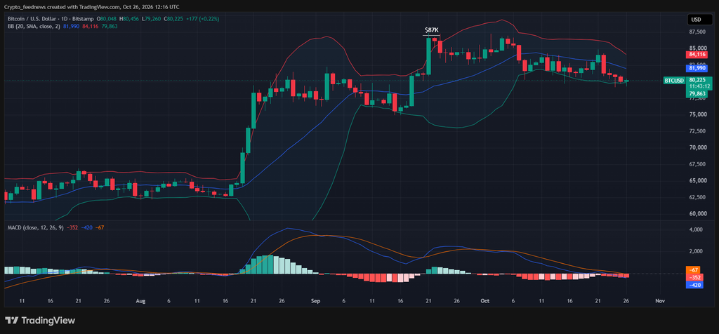 Bitcoin ETF inflows rebound