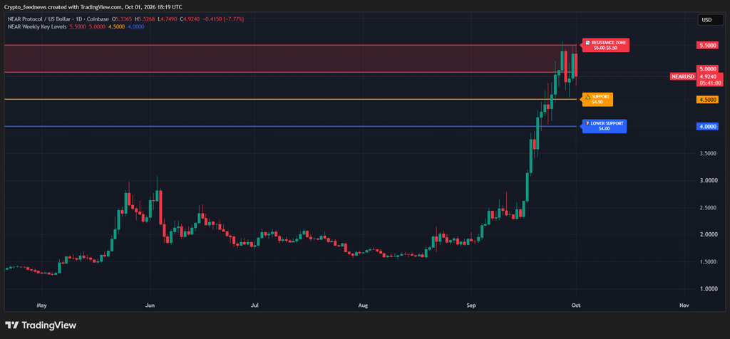 NEAR Protocol price falls