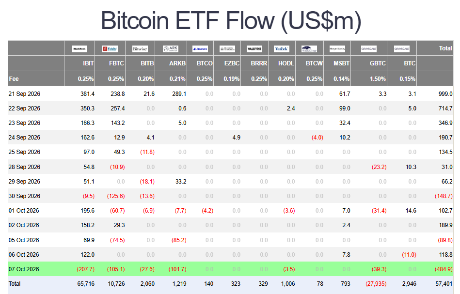 Bitcoin ETF outflows