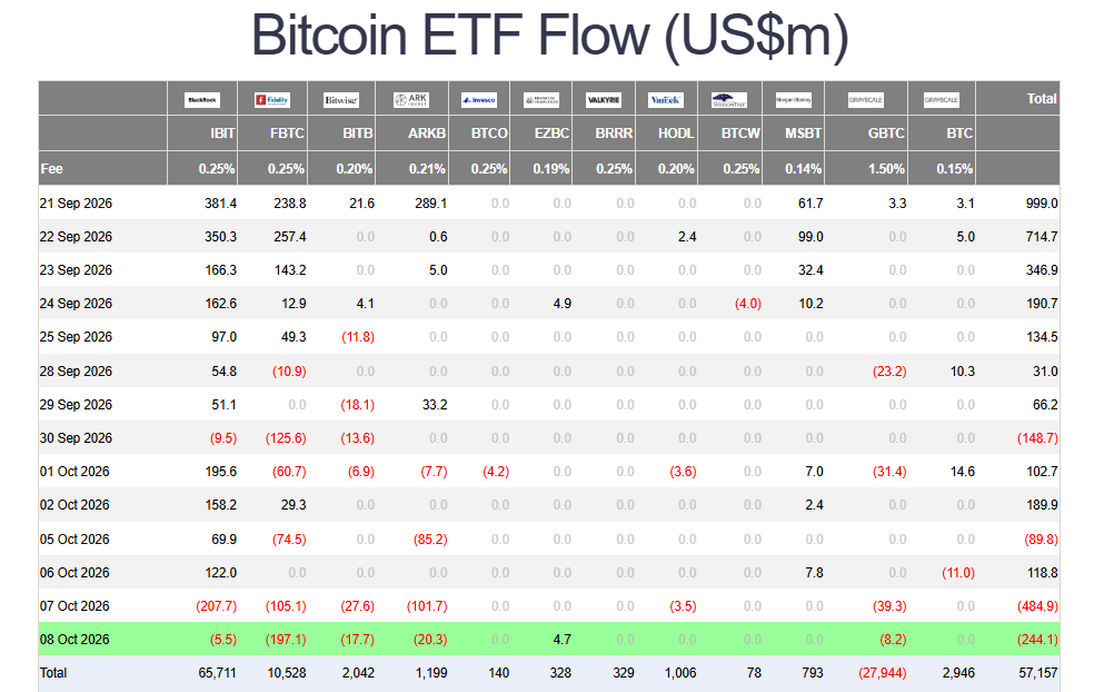 Bitcoin ETF outflows